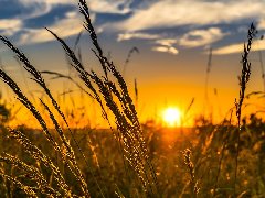 科音達講解器助力綏陽鎮產業發展