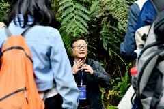 無線講解設備不止替代擴音器，更破解景區、企